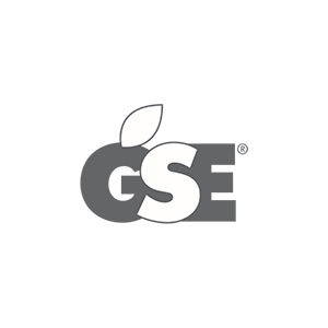 logo_GSE