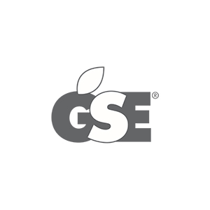 logo_GSE logo_GSE
