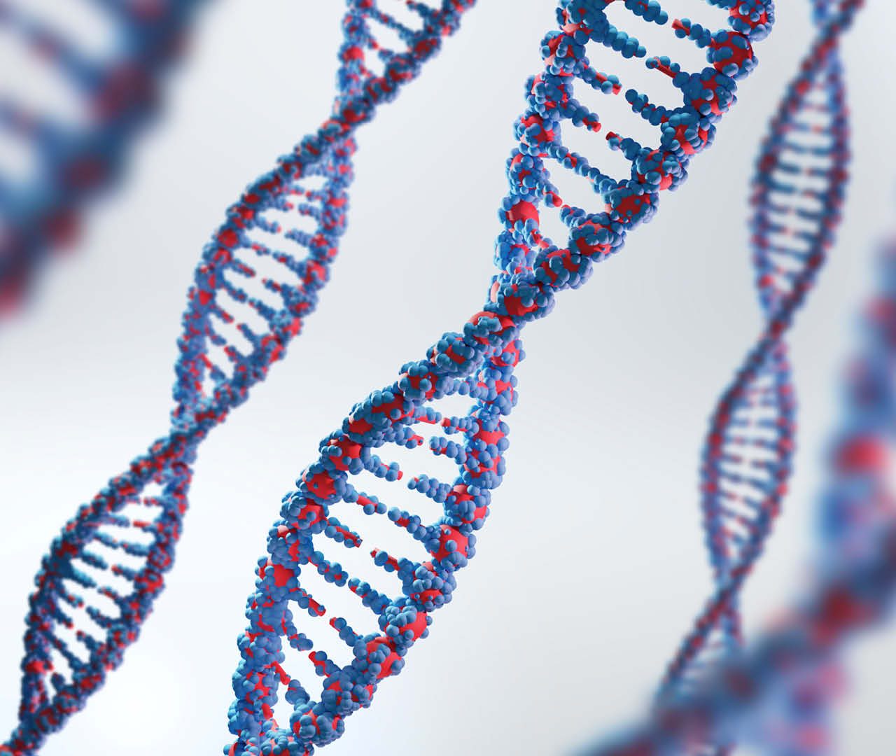 Il 28 febbraio 1953 si è scoperto “il segreto della vita”: il DNA