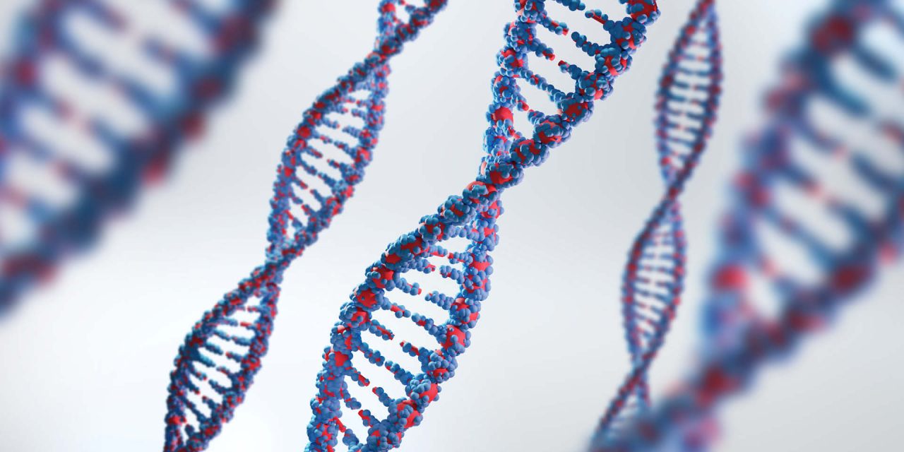 Il 28 febbraio 1953 si è scoperto “il segreto della vita”: il DNA